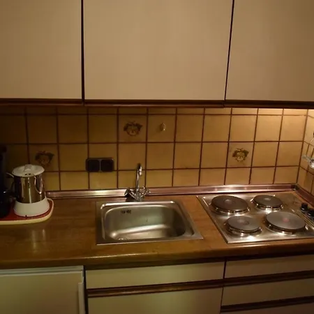 Koch - 4, هوروميرسيال